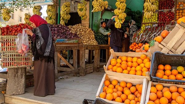 المدن المصرية